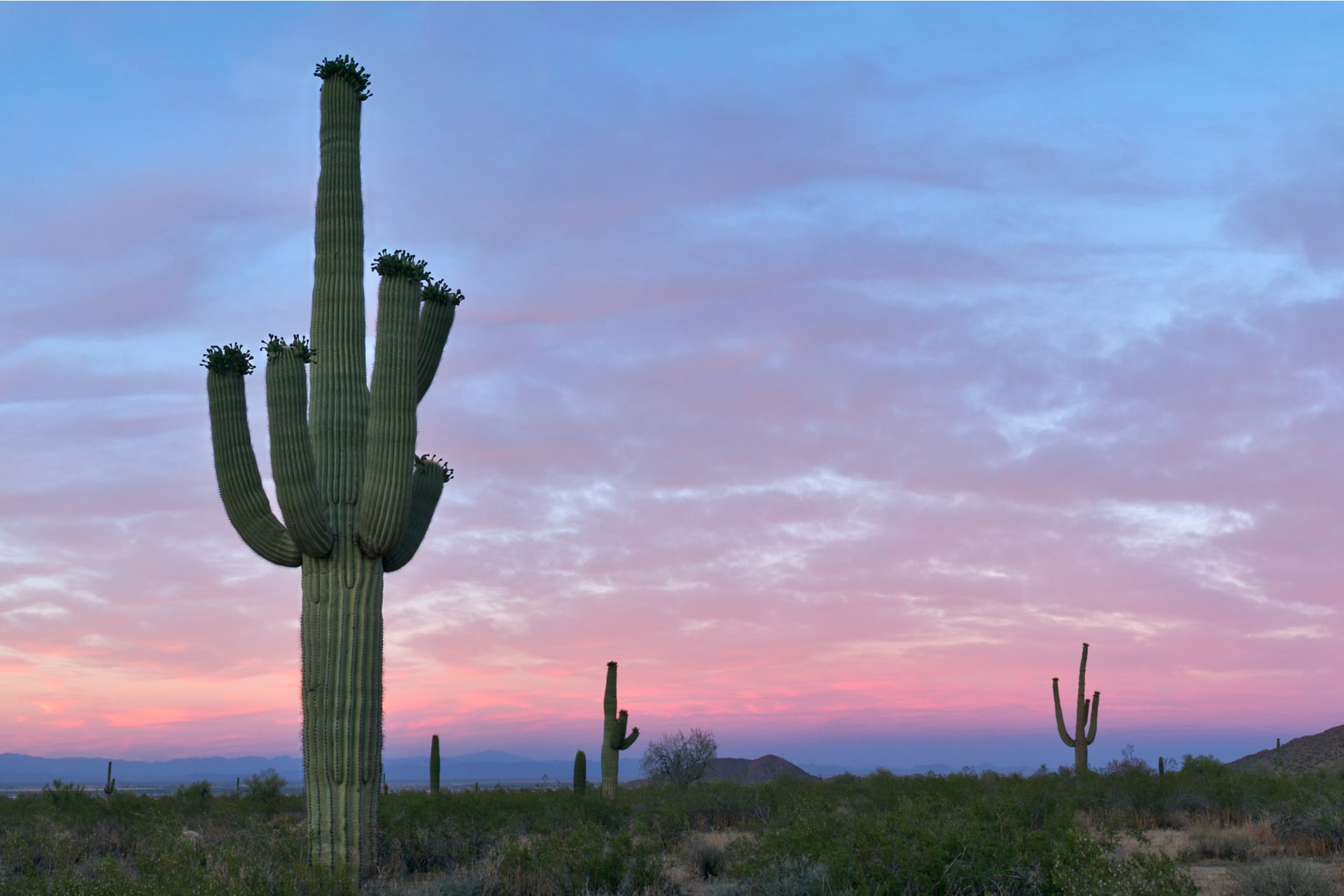 Legal Oro Valley, AZ Oro Valley Aesthetics